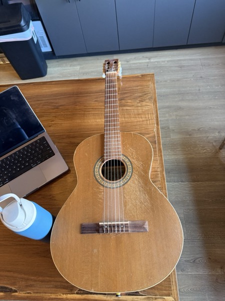Natural nylon-string classical
